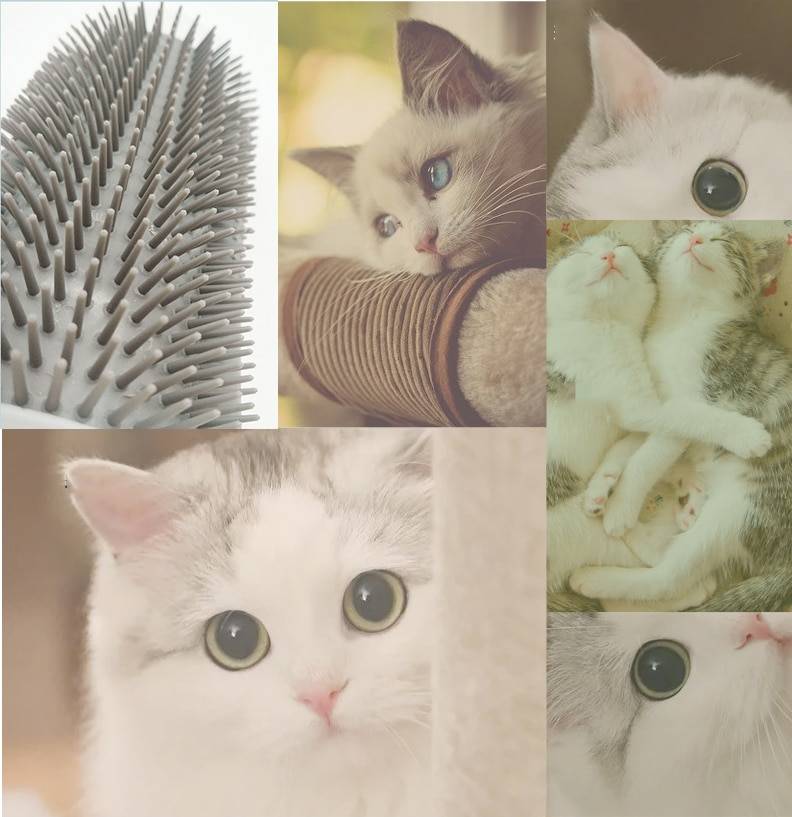 Self Groomer Massage Brush for Cats Cats & Dogs Products Pet Grooming Pet Supplies Color : Orange|Black|Sky Blue|Red|Gray|Blue|Pink|Green|Lake Blue|Cat Mint (5g) 